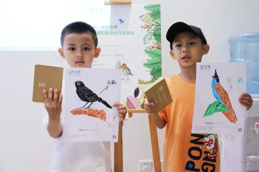 茏腾·探秘自然·鸟类涂鸦之旅-27