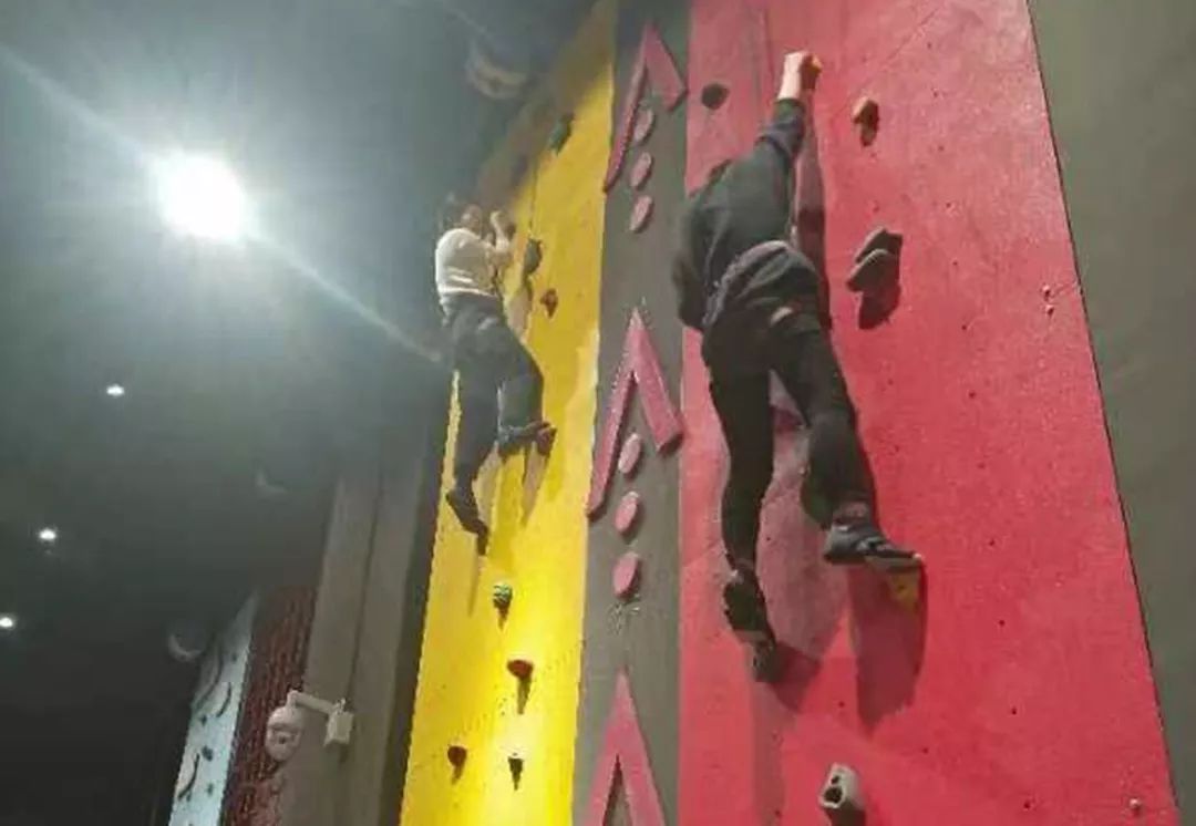 东町造园年终盛宴，专业施工打造精致花园-15