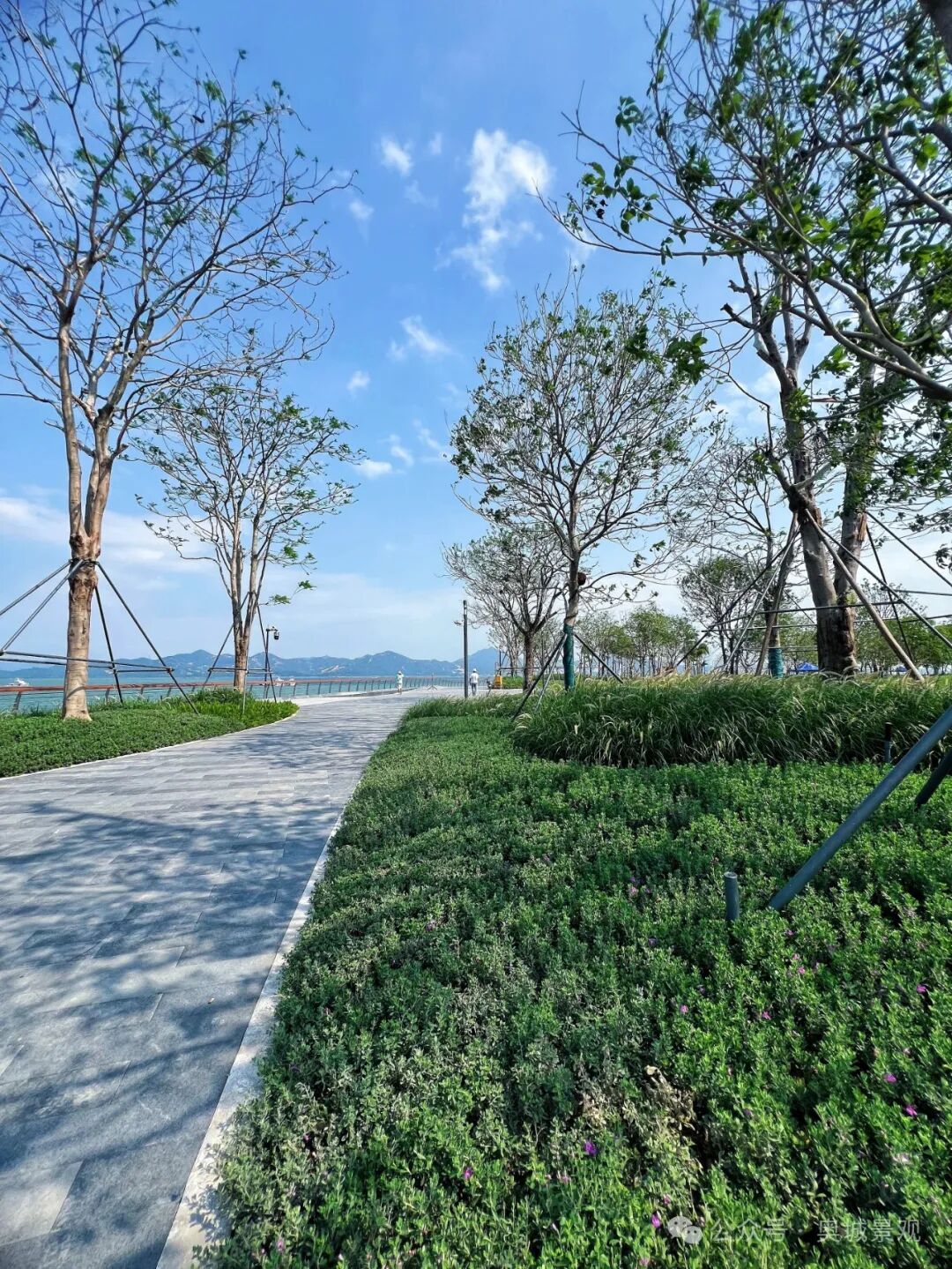 奥城景观||深圳•招商•太子湾K11项目景观工程-66