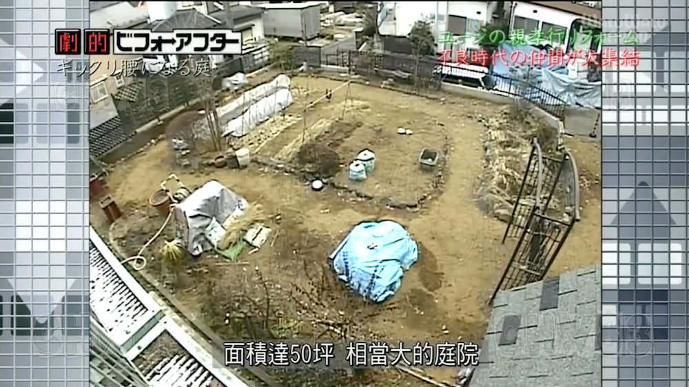 废墟庭院,漏水露台花园改造丨日本大阪丨金井良一-17