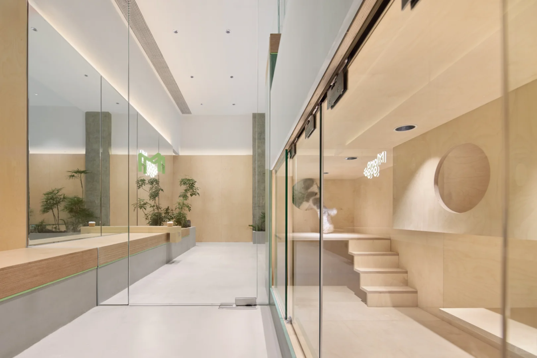 海南▶Momogogo人宠都市绿洲——毛孩子的友好综合空间-25