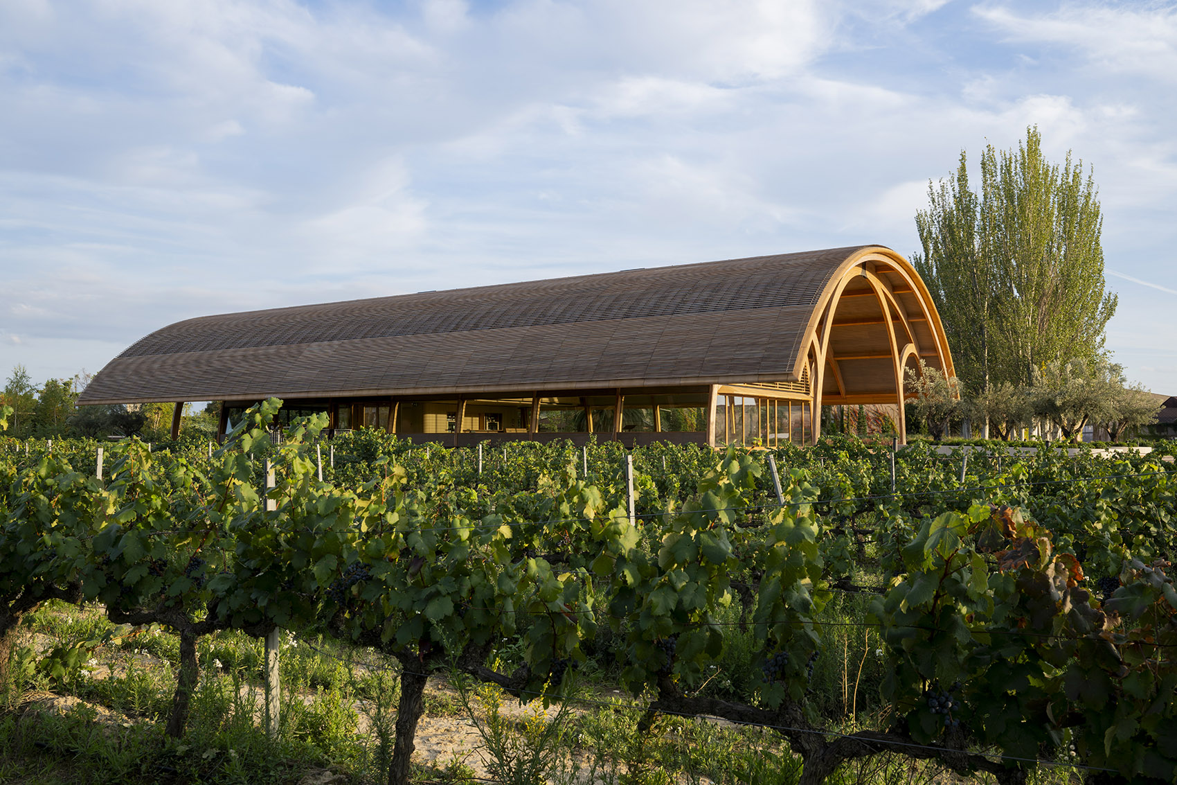 Bodegas Faustino 酒庄扩建丨西班牙丨Foster + Partners-3