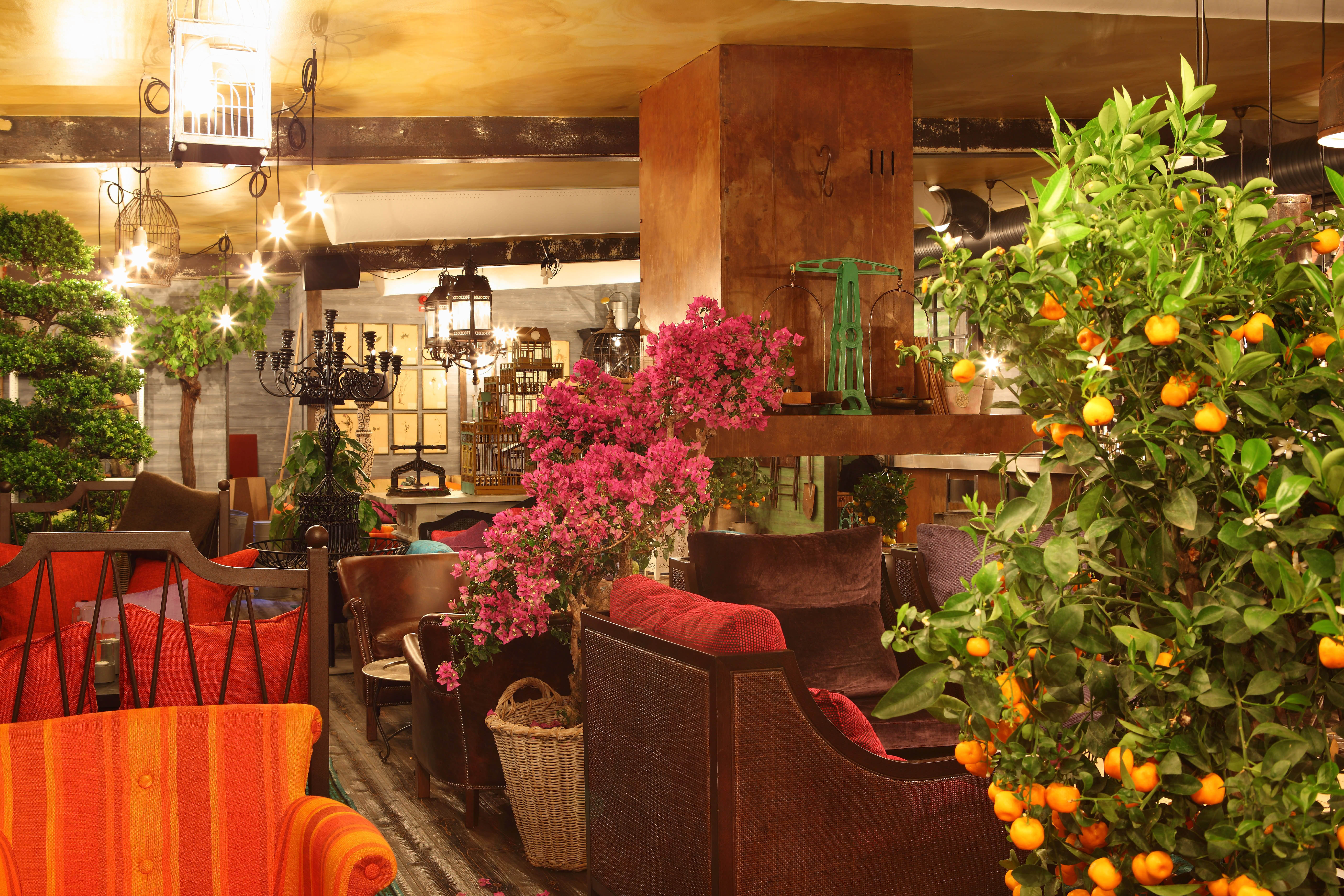 Orangeriet | Stylt Trampoli AB-11