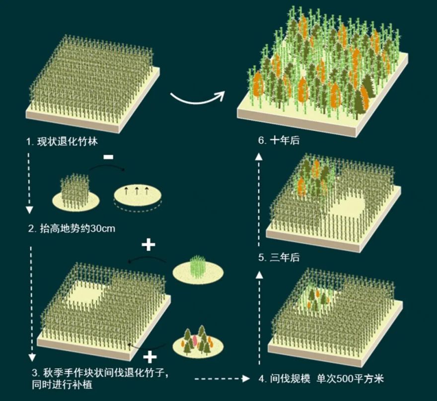 顺德鹭鸟湿地片区景观规划丨中国佛山丨AECOM-24