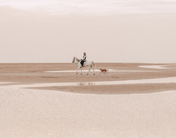 Casa Cook El Gouna 酒店丨埃及丨Common Architecture-79