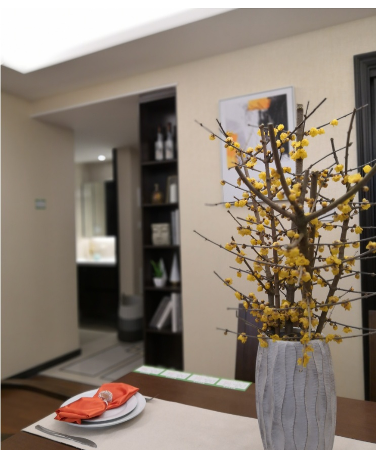 多样风格混搭，打造城市小公寓的舒适生活-26