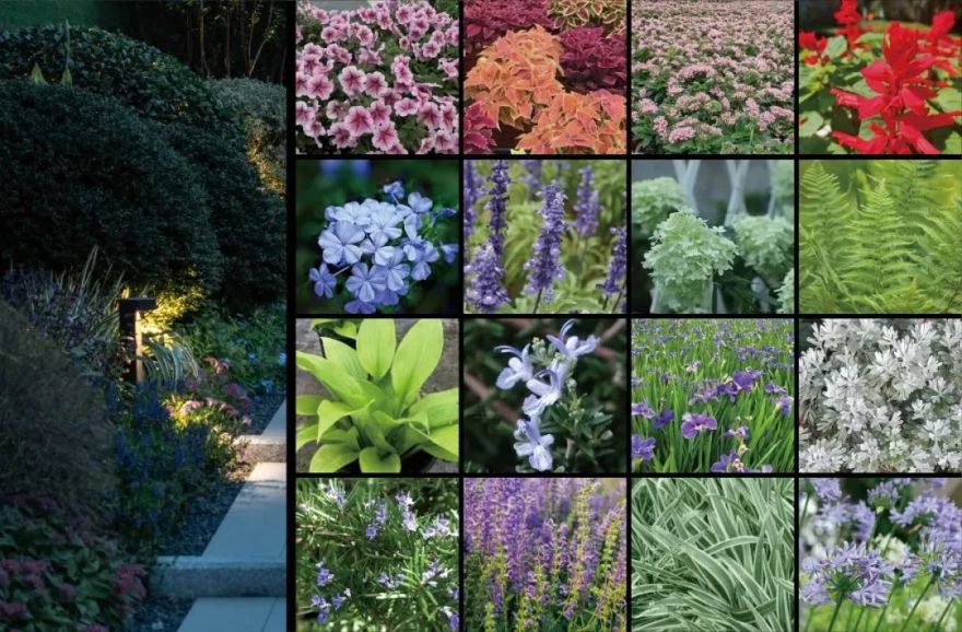 重新组合自然美 · 植物设计浅谈丨中国南京-55