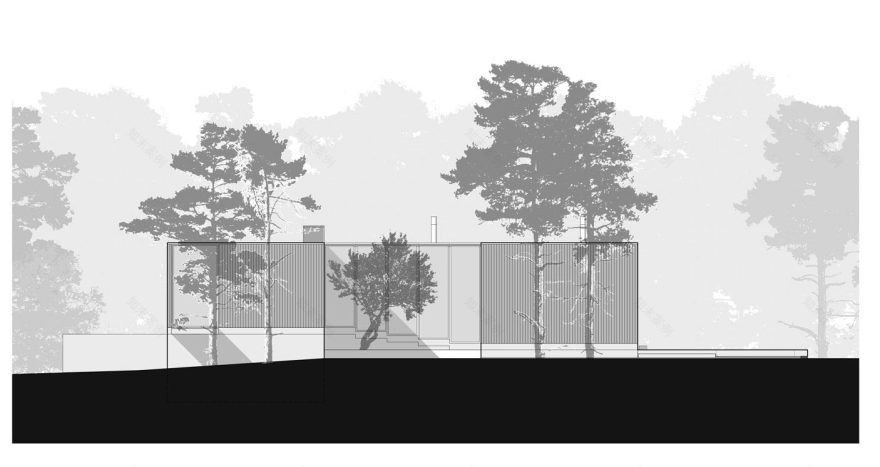 葡萄牙松林中的六角形住宅设计-31