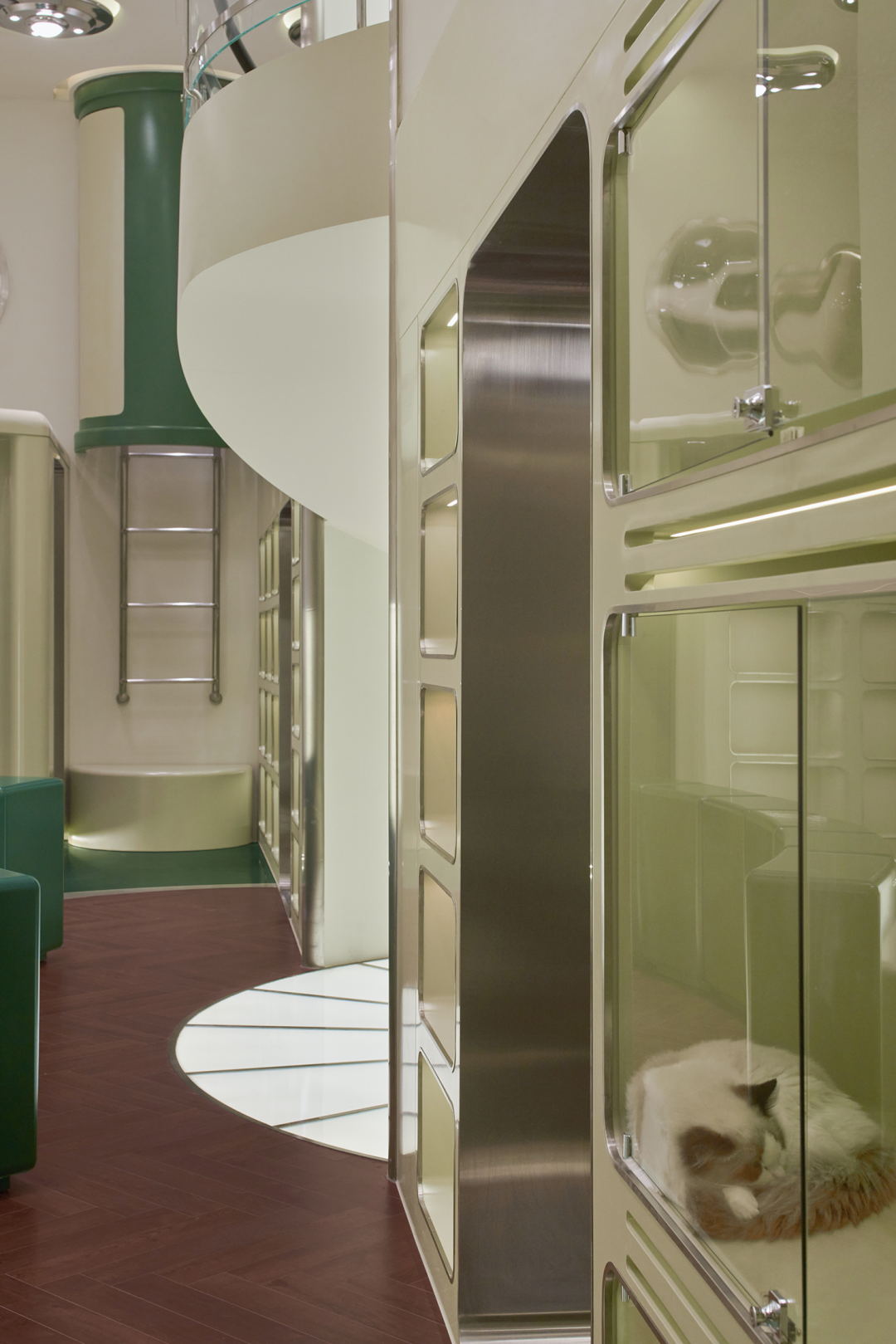 bibu宠物店丨中国广州丨今朝风日好ofD-20