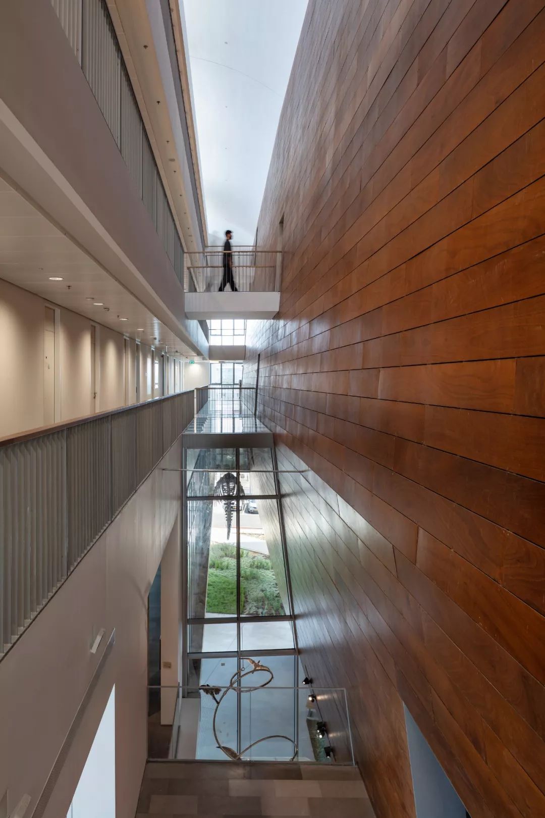 以色列建筑事务所 Kimmel Eshkolot 的杰出设计-39