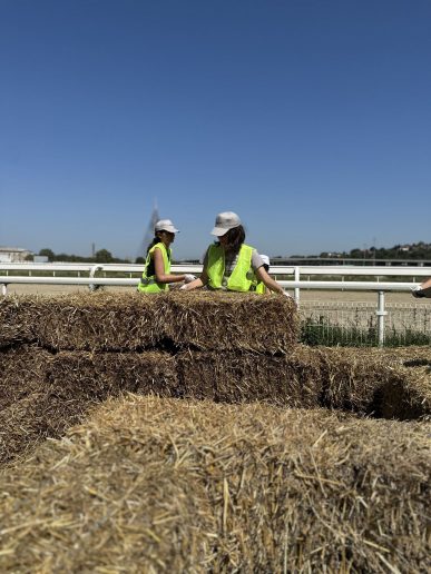 丨贝尔格莱德丨贝尔格莱德建筑学校（Kiparh相关人员）-27