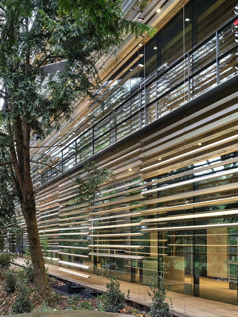 Albert Kahn 博物馆丨法国丨KKAA(隈研吾建筑都市设计事务所)-26