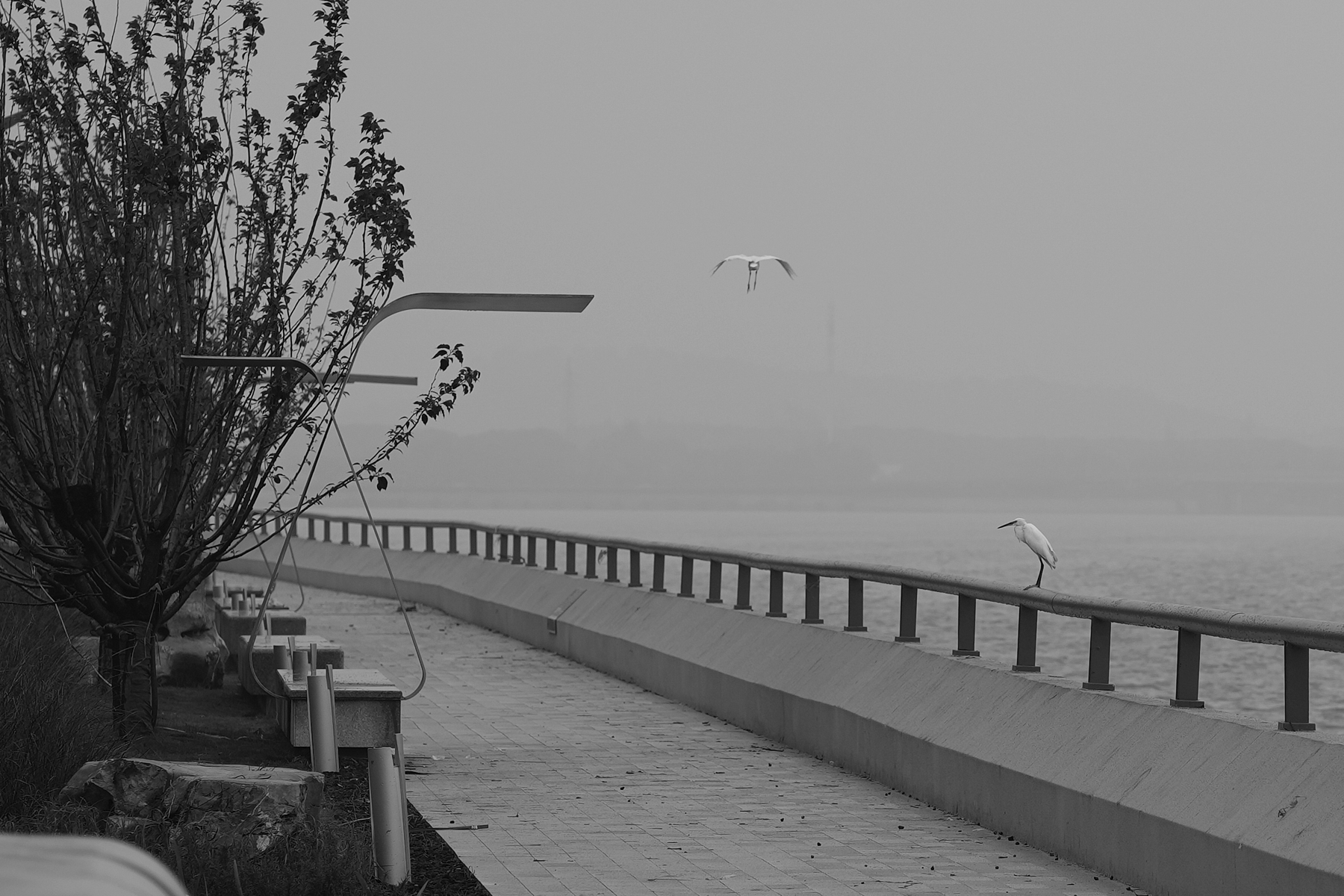 十里明珠堤景观更新丨中国无锡丨禾晟设计孙袁江城市更新工作室-74