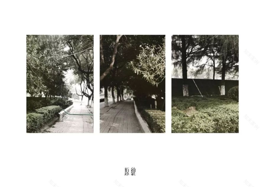 林间三境 | 昆山万科瑧望-8