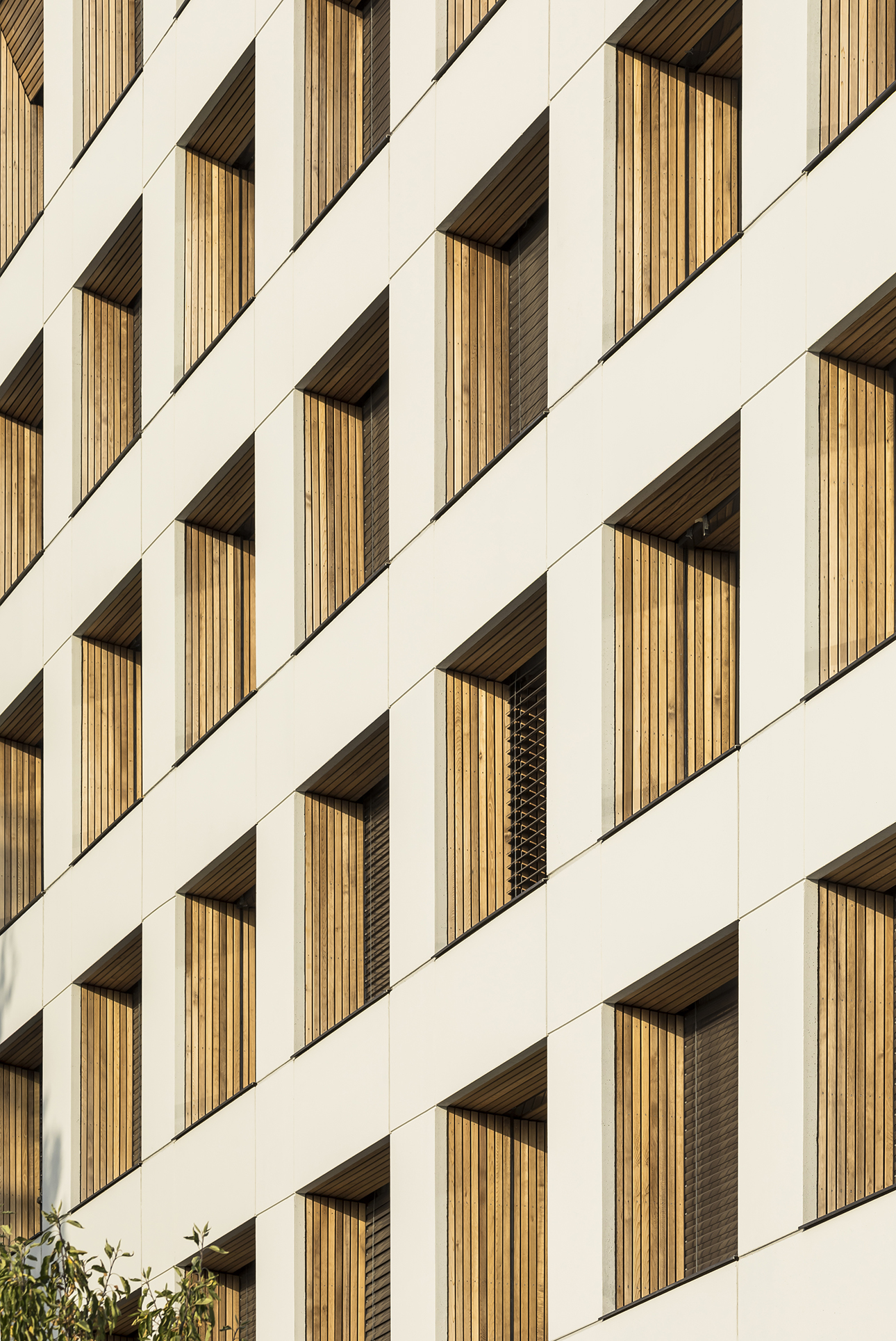 精心设计的铁路公寓,保护与扩展的完美结合-12