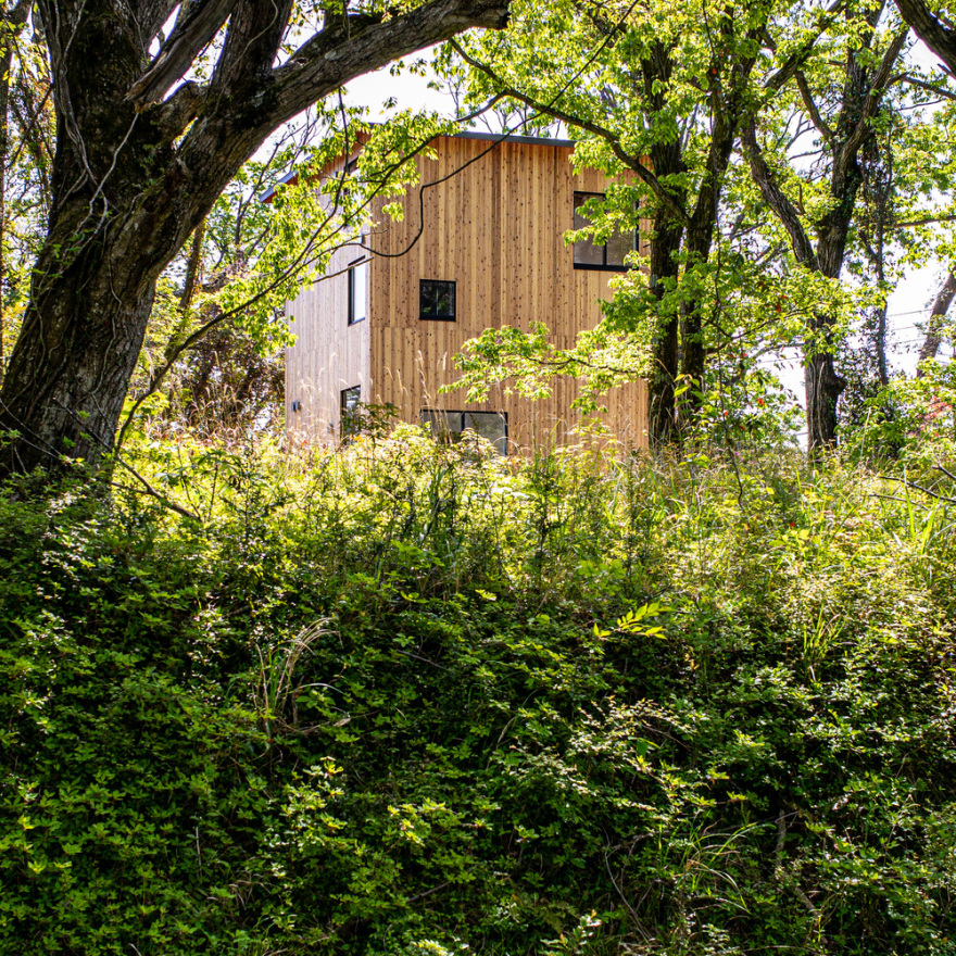 日本伊豆高原 I 住宅丨Florian Busch Architects-15