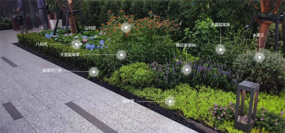 杭州申花杭樾润府丨中国杭州丨浙江蓝颂园林景观设计集团有限公司-11