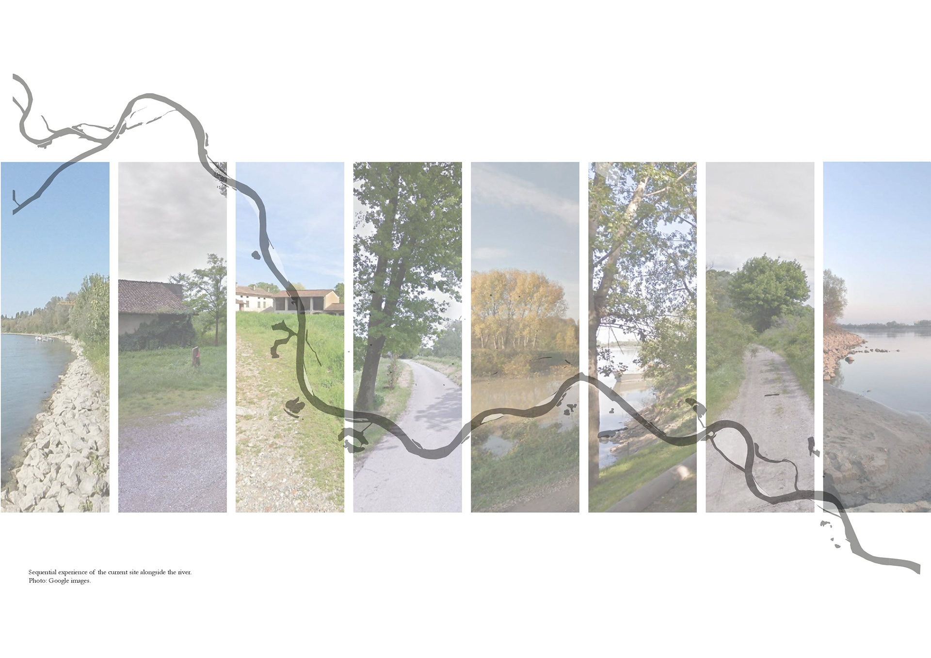 Pre-Thesis Final Studio: Un Po Piu di Boschi-15