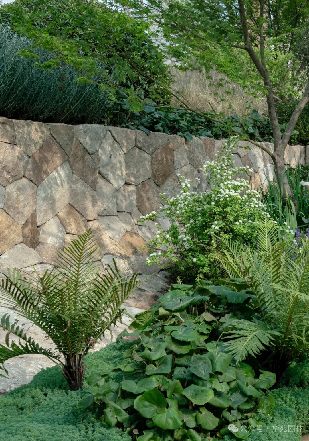 层叠的野性丨武汉瑞安城市展厅-47