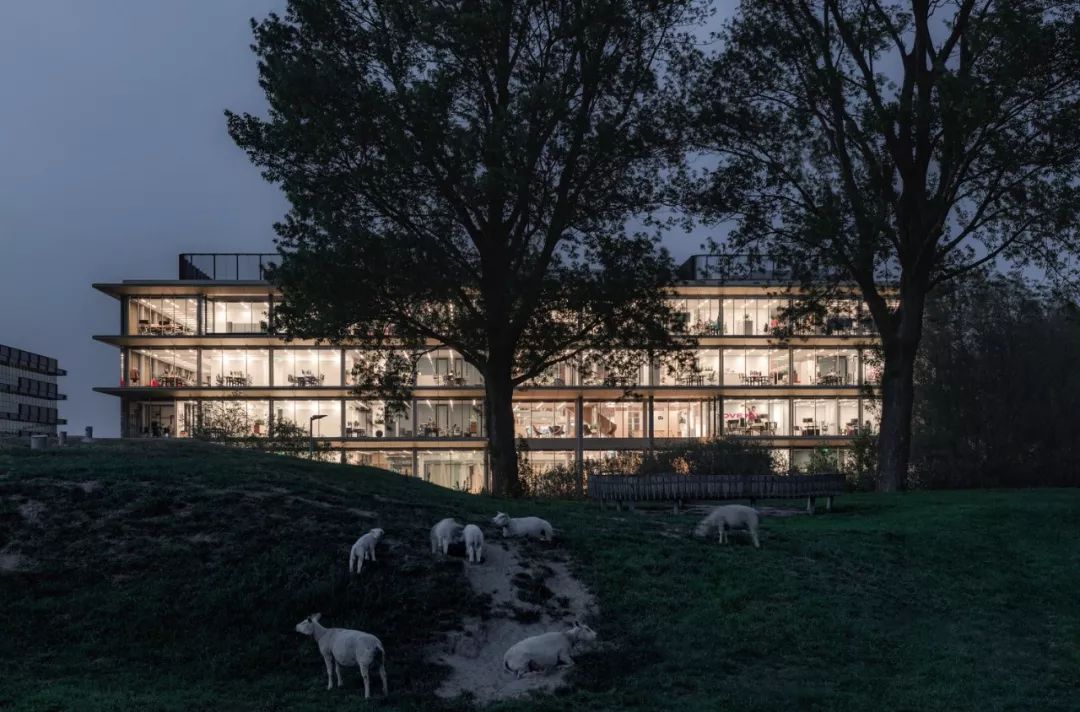 2019 全球创意办公空间盘点,惊艳的不仅仅是设计!-159