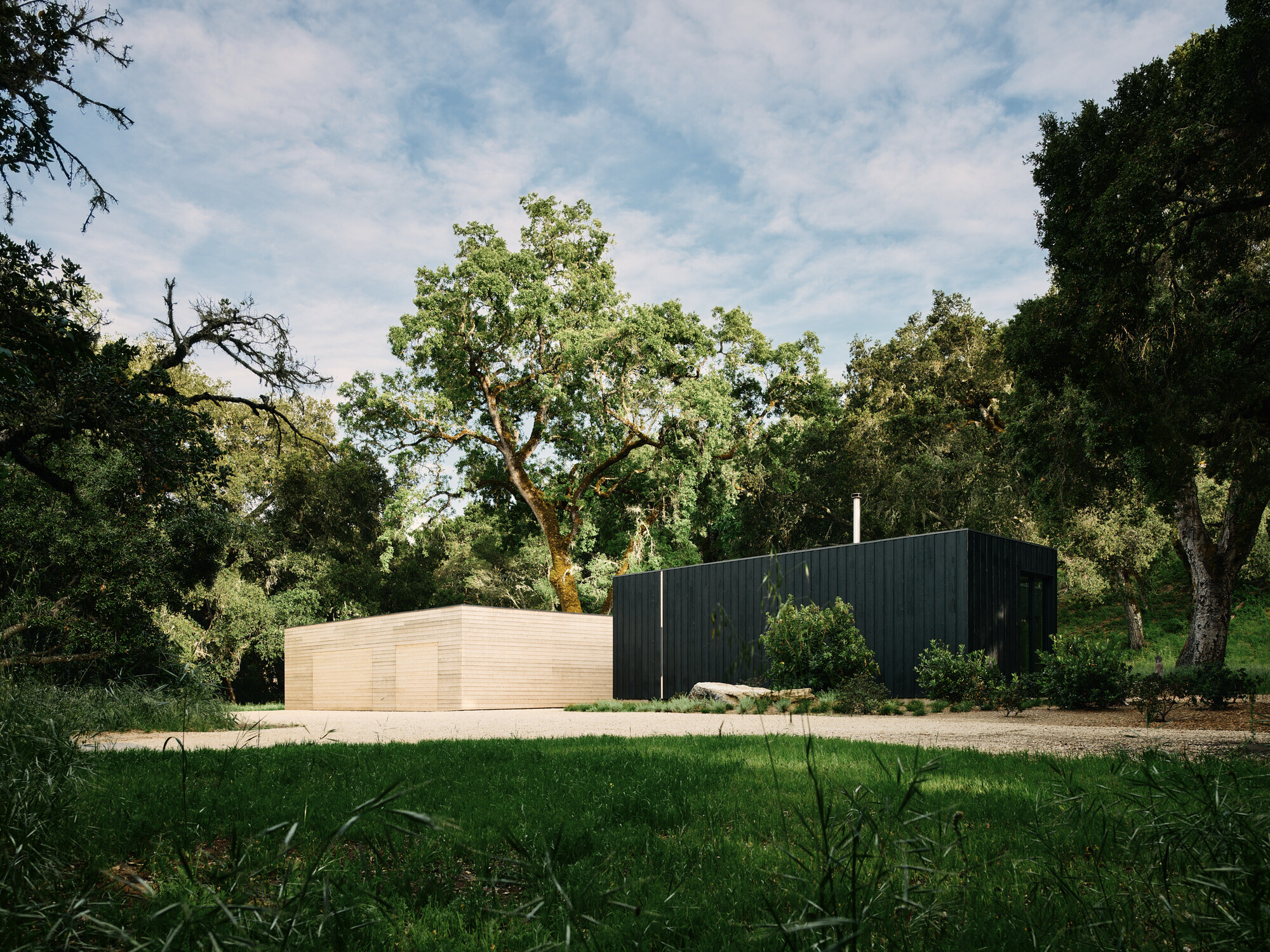 丨美国丨Studio Schicketanz-22