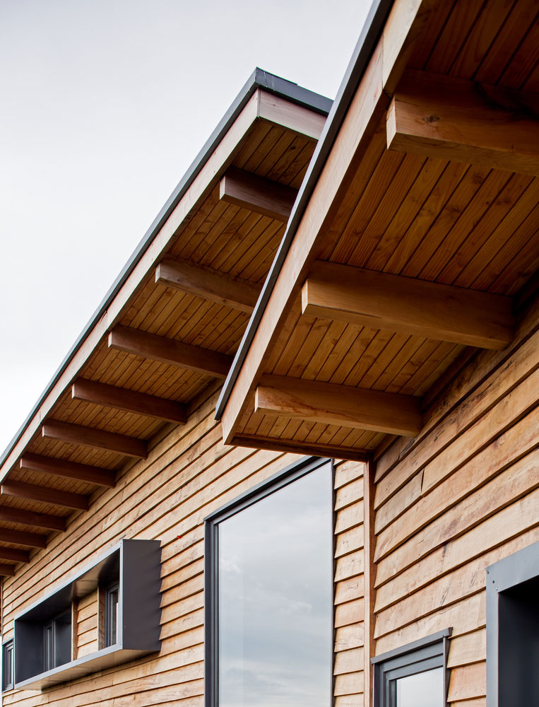 自然度假风木屋，智利绿野仙踪-15