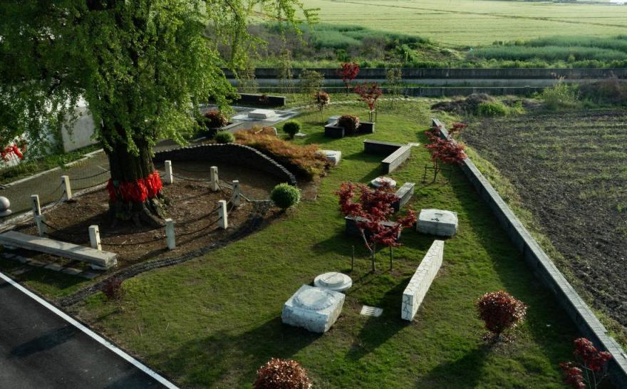 苏州市震泽镇“五美三优”乡村改造丨中国苏州-36