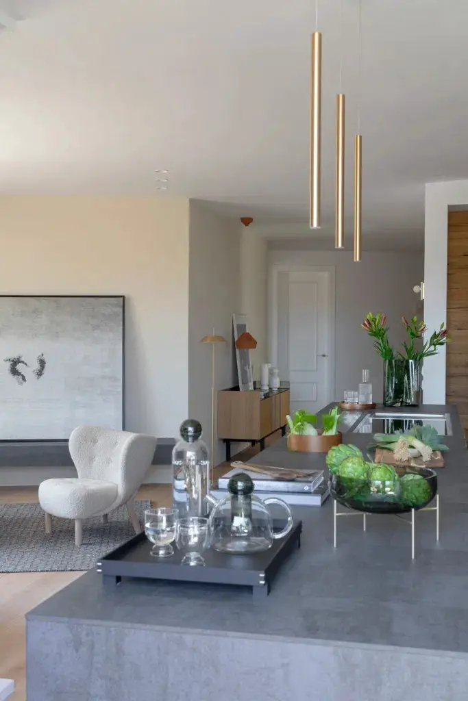 巴塞罗那古典建筑中的现代顶层公寓-3