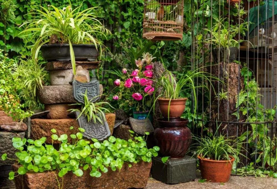 院落生活 | 诗与远方的完美结合-59