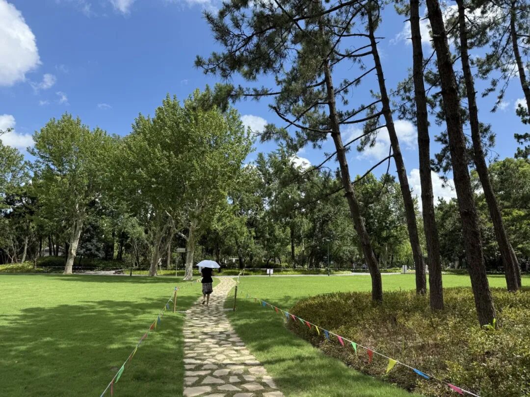 中国园林·理事专栏|“拓”之力量：杨浦公园改造纪实(三)-175