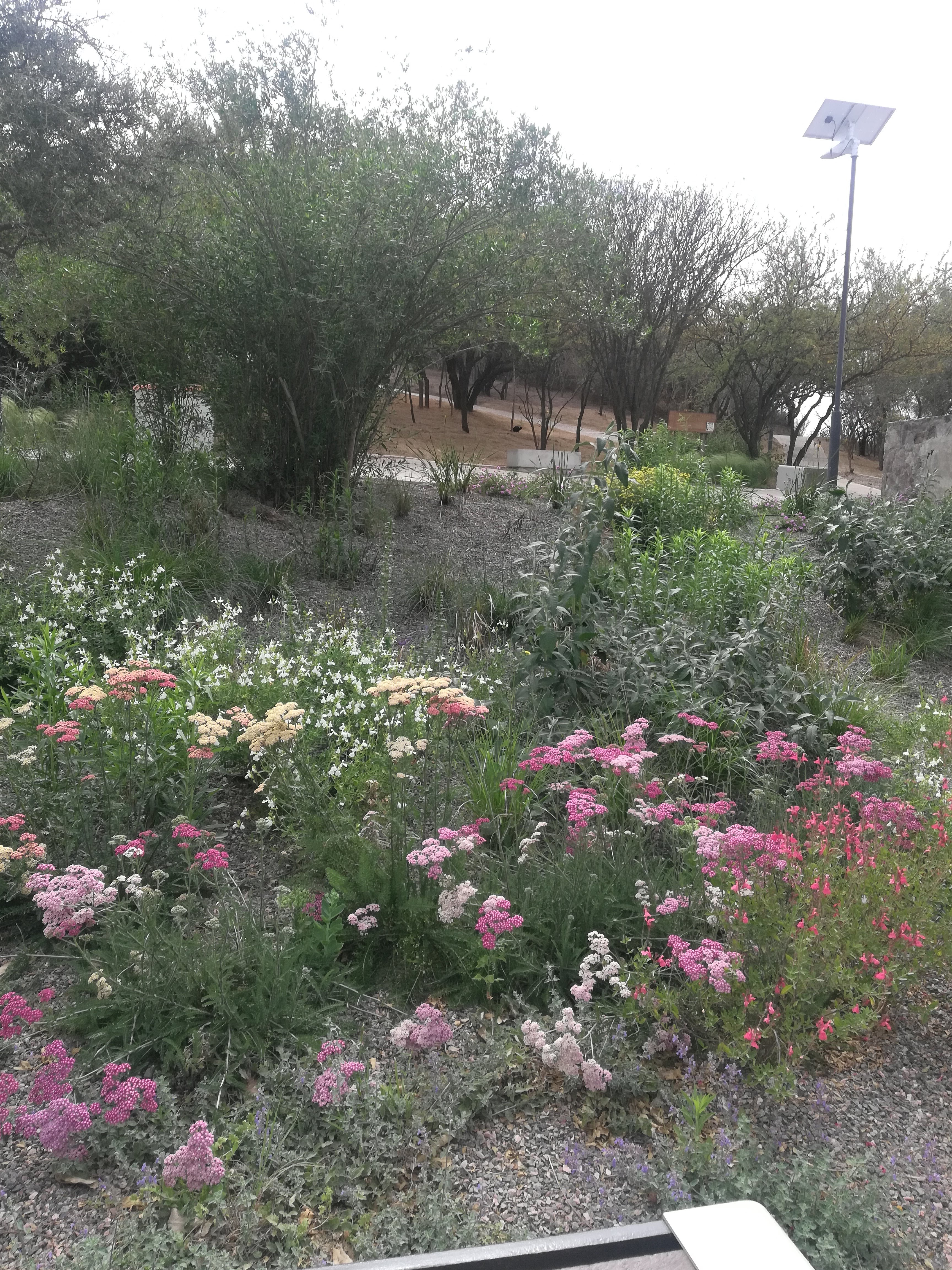 Jardín Botánico CBA, AR-7