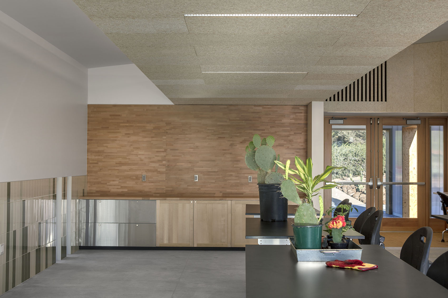 沙漠植物园一期丨美国-60