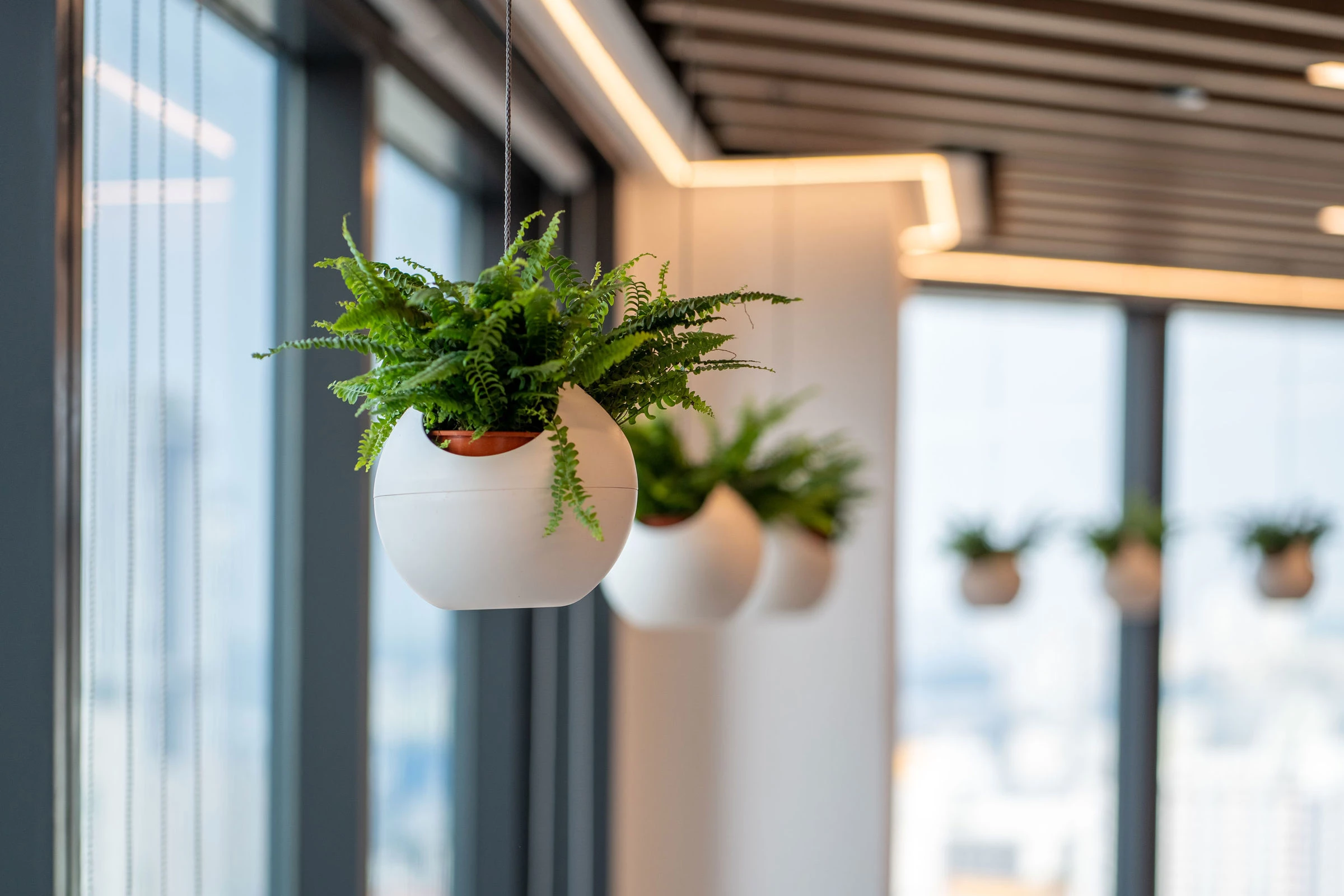 新加坡 Forrester 办公室·现代环保的协作空间-16