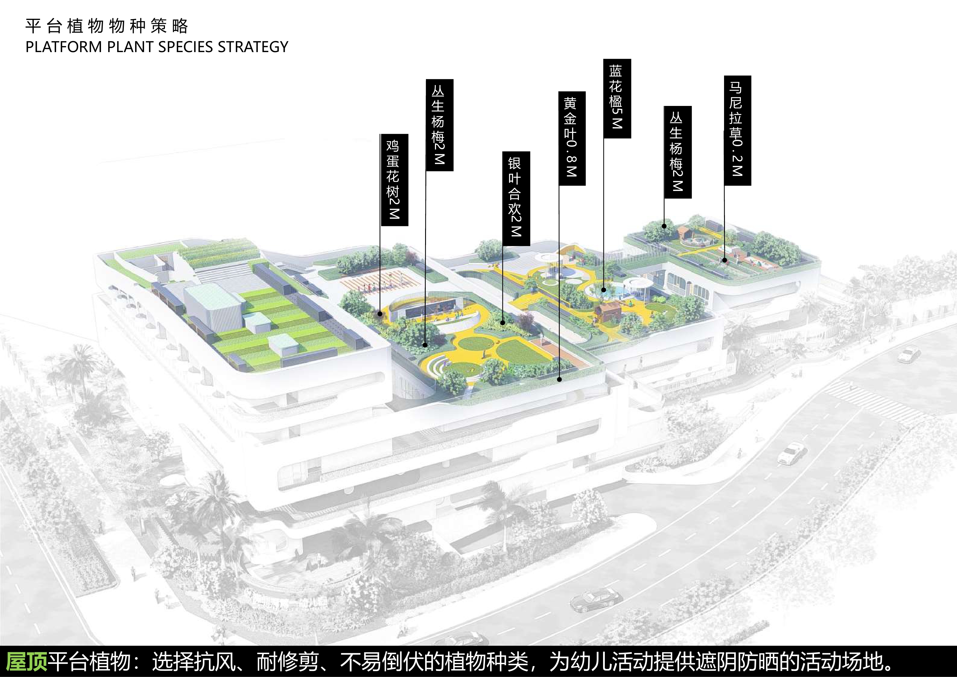 深圳湾第一幼儿园方案校园建筑方案文-6