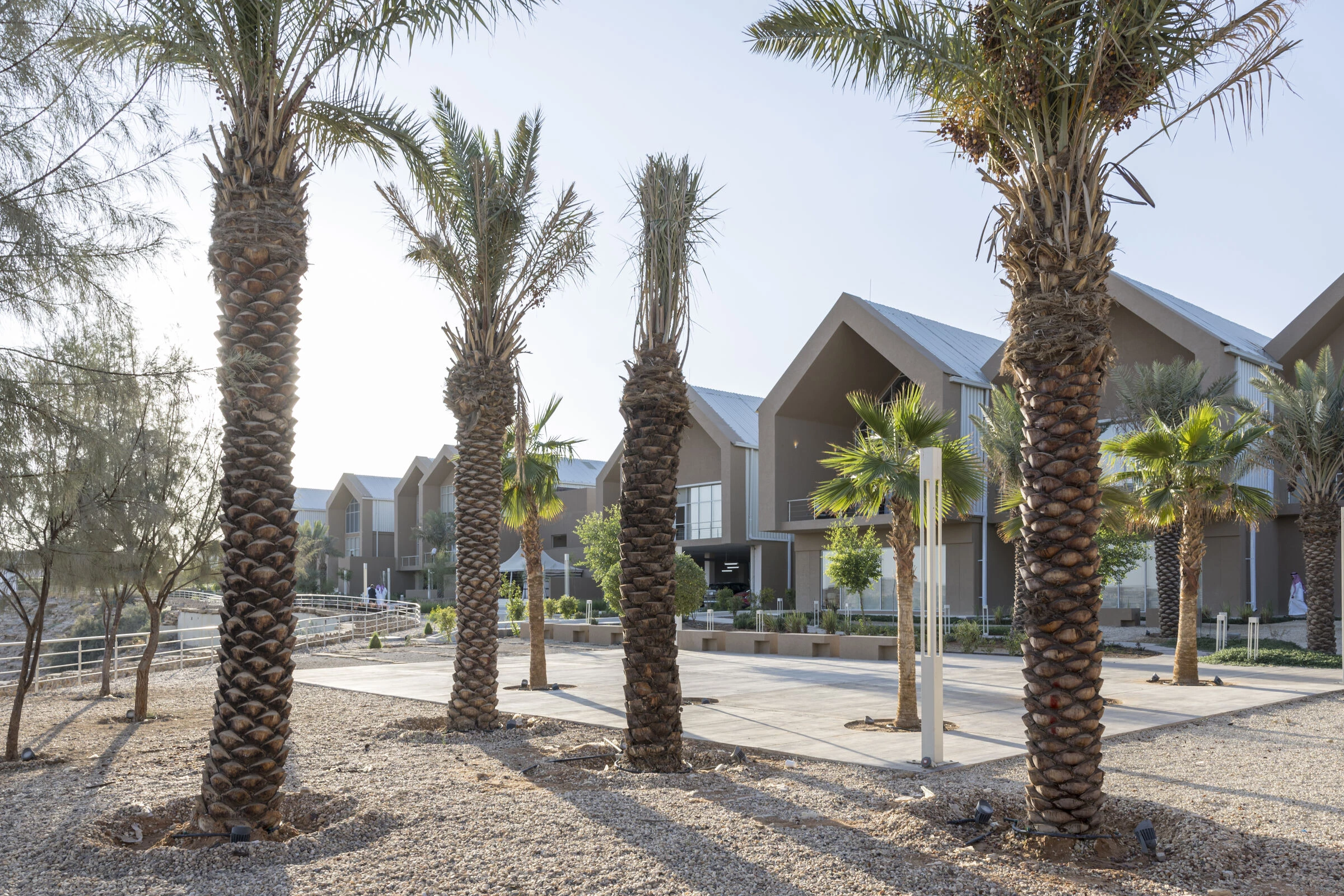 JAX 现代化办公室丨沙特阿拉伯丨BRICKLAB-31