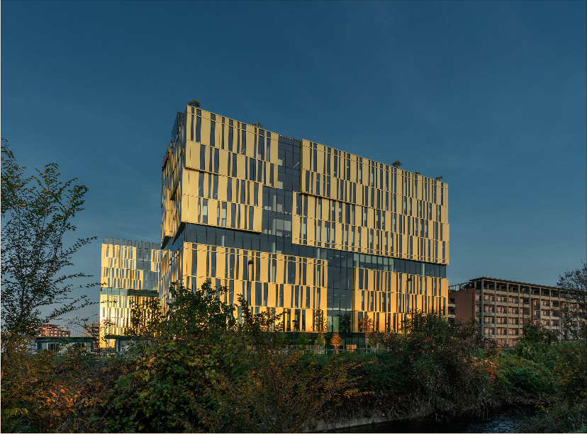 标志 或 符号 或 迹象-13