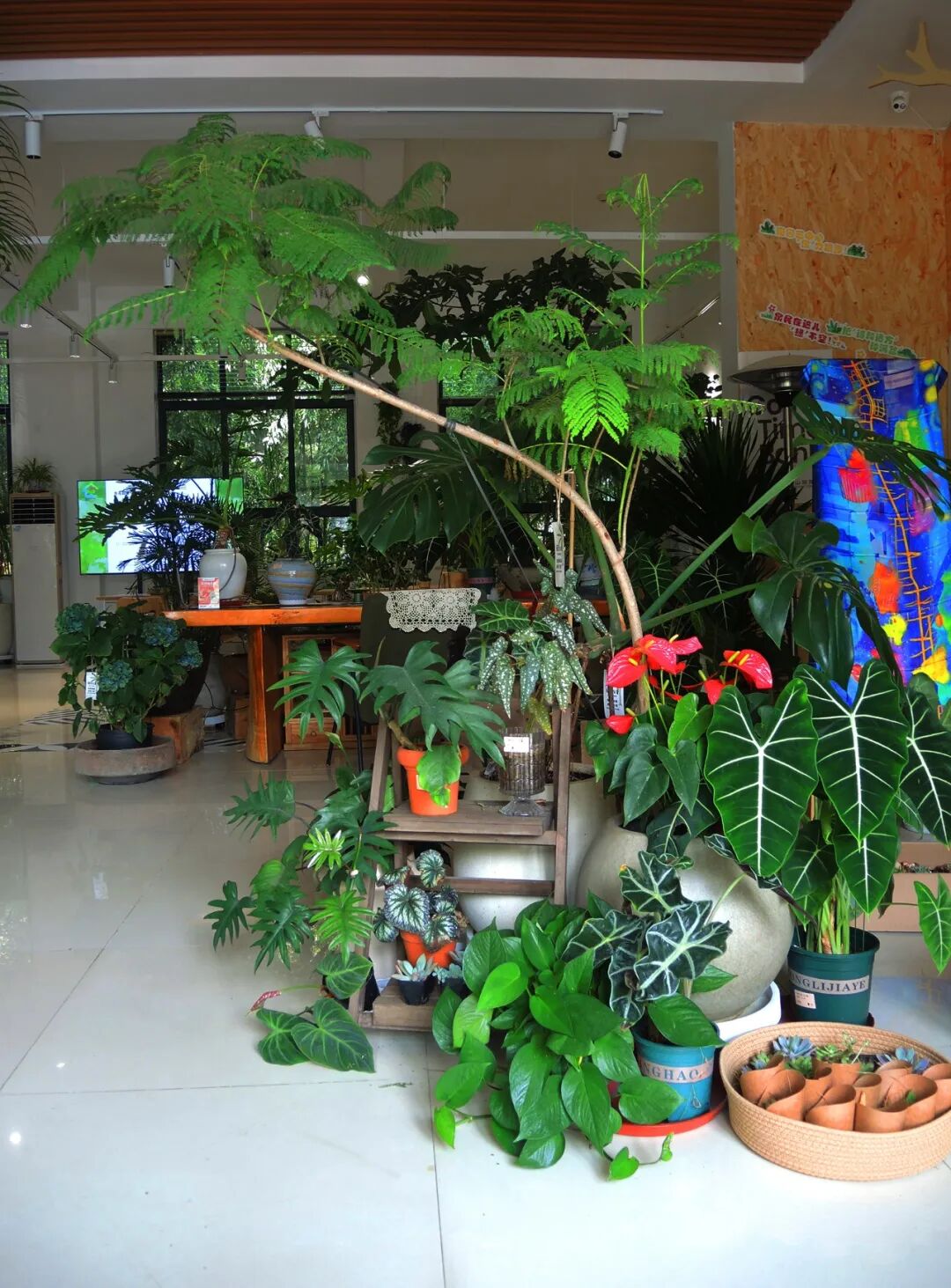 大众网满月回访泉民园艺中心领航店-86