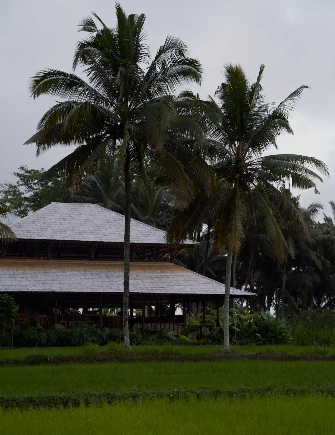 印尼 Begawan Biji 餐厅丨印度尼西亚巴厘丨Blanco Studio-8