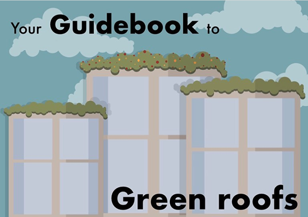 重新设计伊尔比德市区块-26