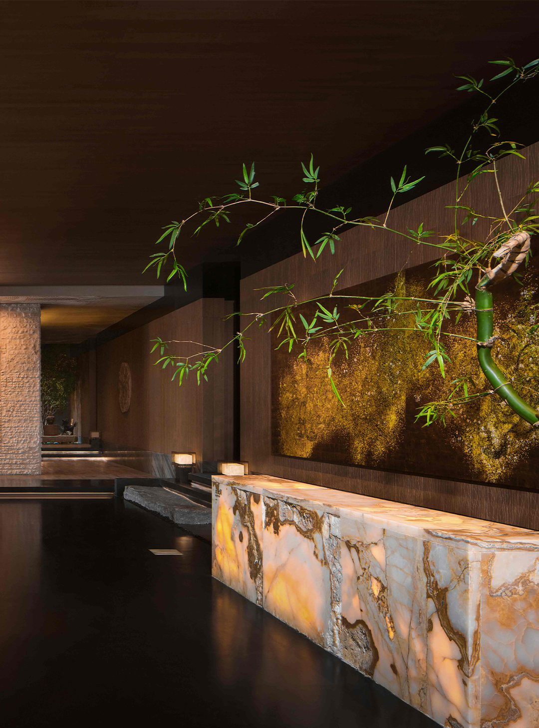 新作 自然之下的无界洄游丨紫香舸-83