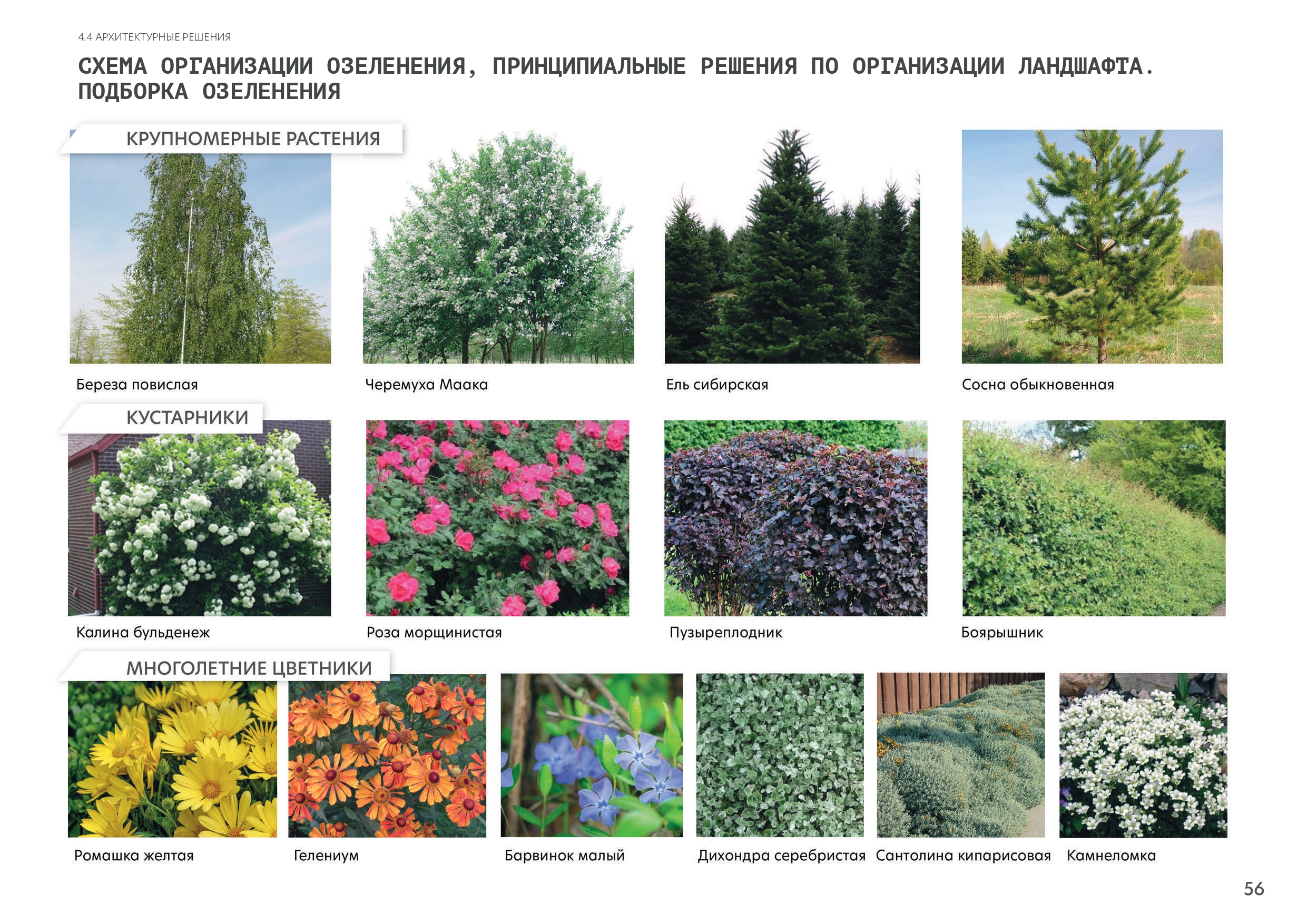 Kansk 市堤岸改善项目丨RED Business 公司-45