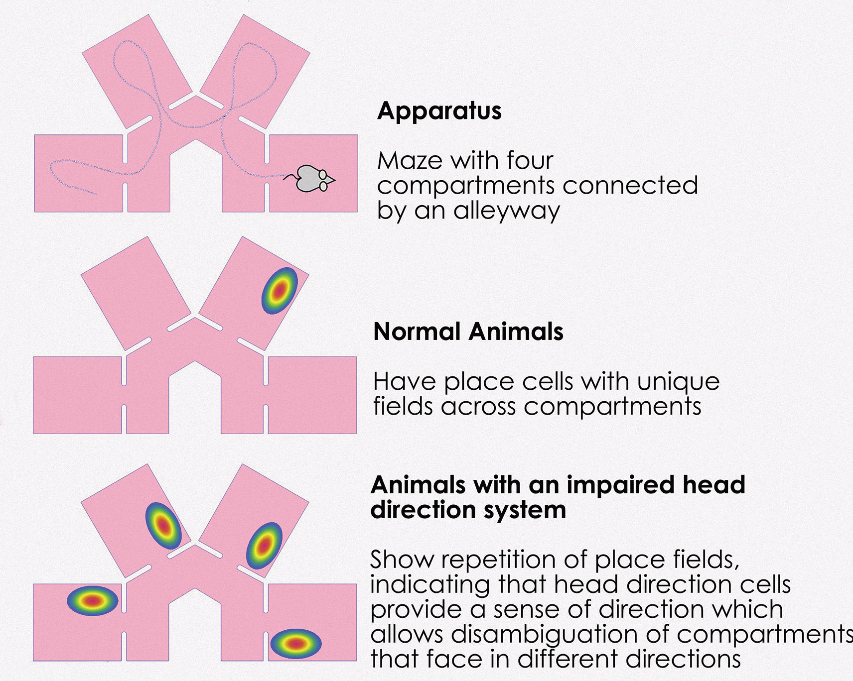Design 6: Mixed-Use Complex-11