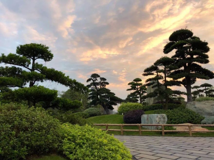 南宁罗汉松园 | 写意山水与天人合一的现代园林-126