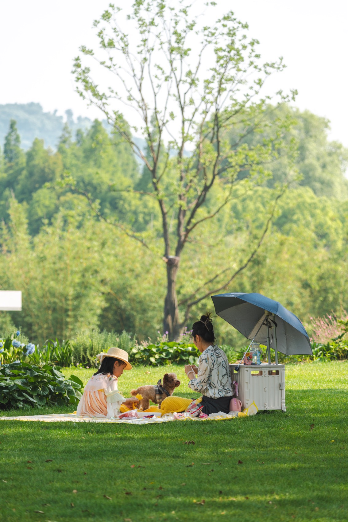公园野餐场景