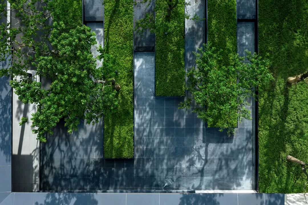 弦外之音丨常熟雅居乐山樾雅苑-53