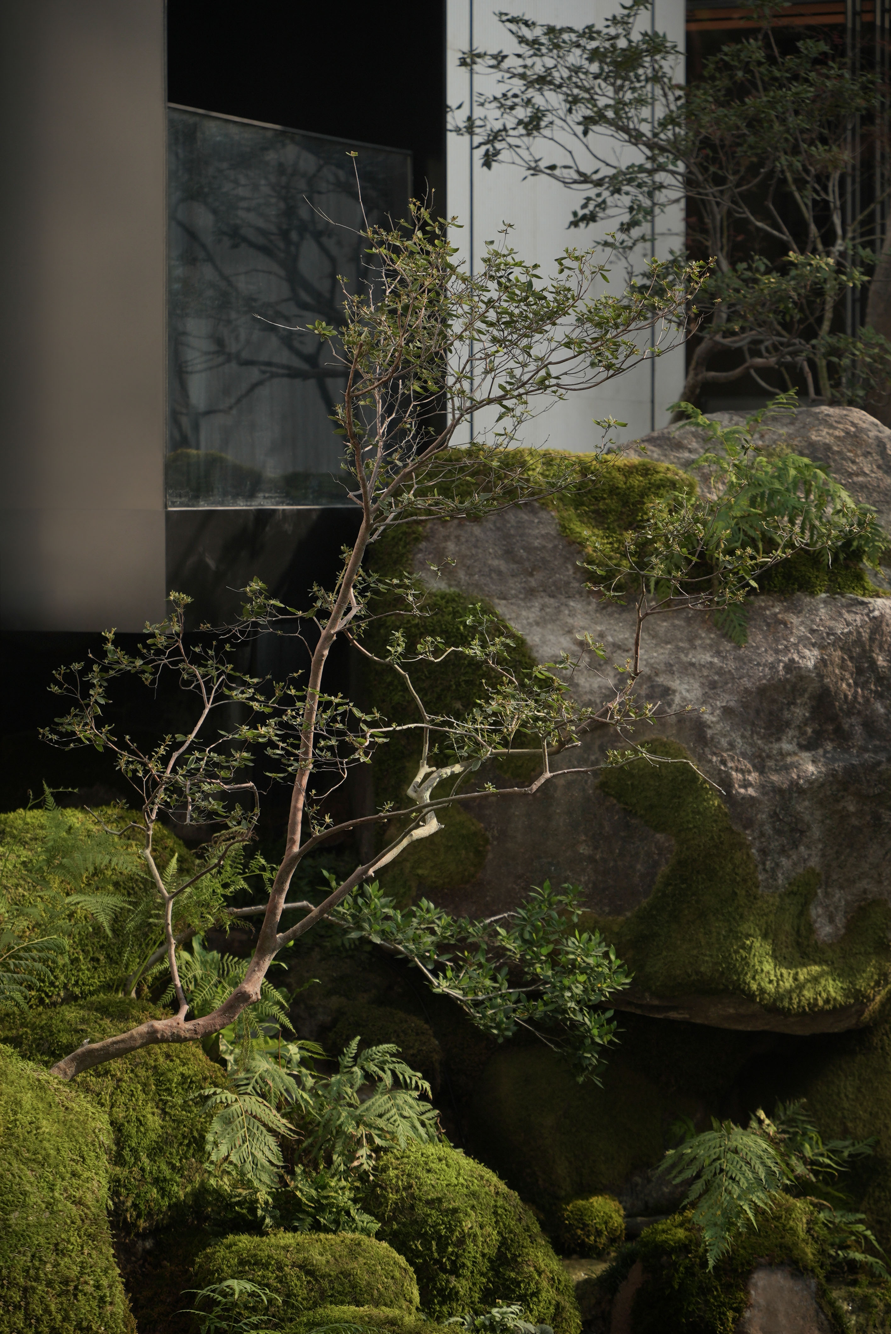 金茂西安璞逸曲江示范区丨中国西安丨MIND 迈德景观-57