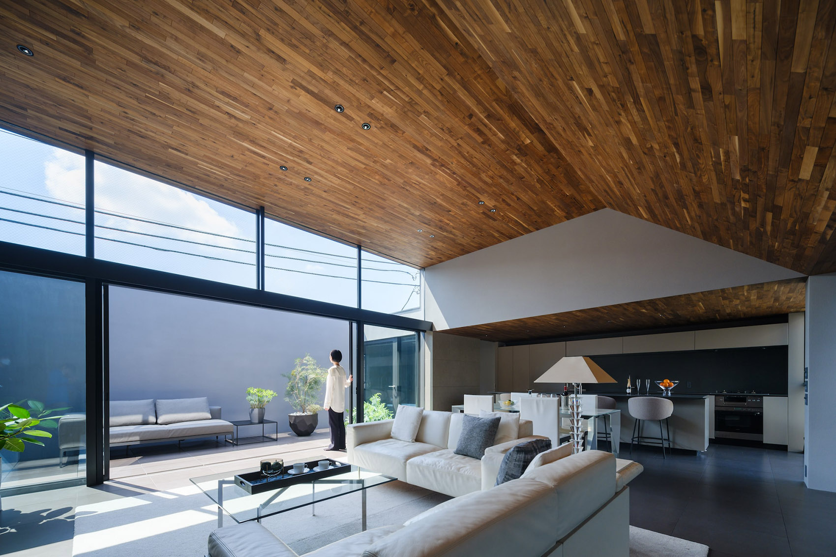 东京 LAXUS 住宅丨日本东京丨APOLLO-5