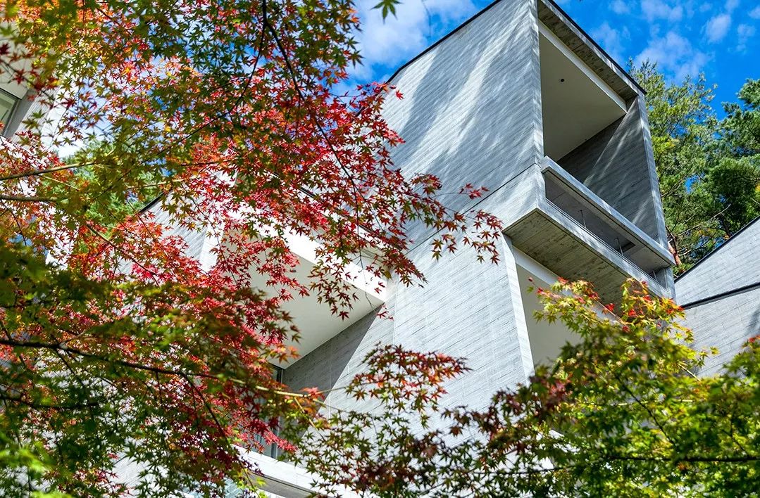 京都虹夕诺雅 | 野奢中的野奢，美到窒息！-117