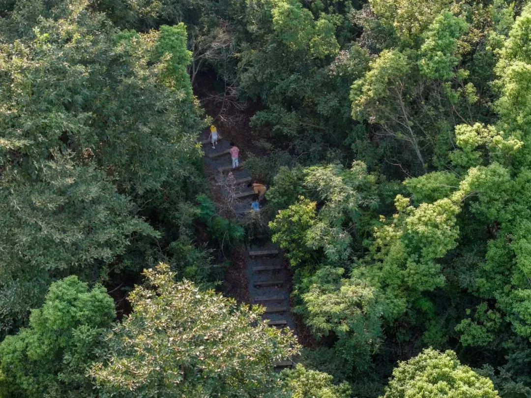 傍山麓野 | 长沙麓隐青竹湖-88