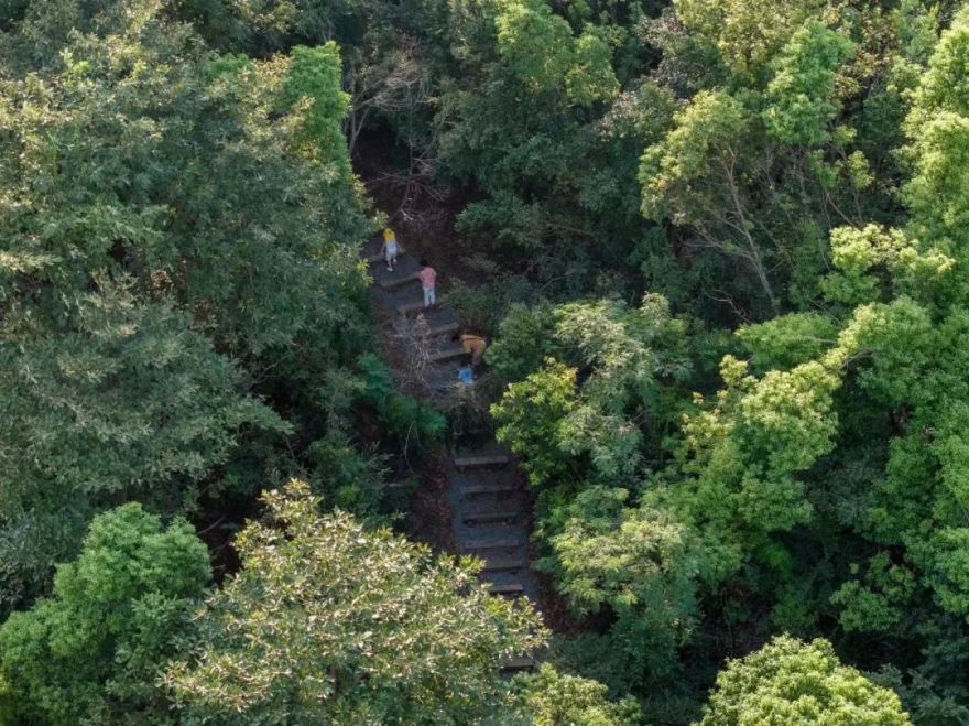 傍山麓野 | 长沙麓隐青竹湖-88